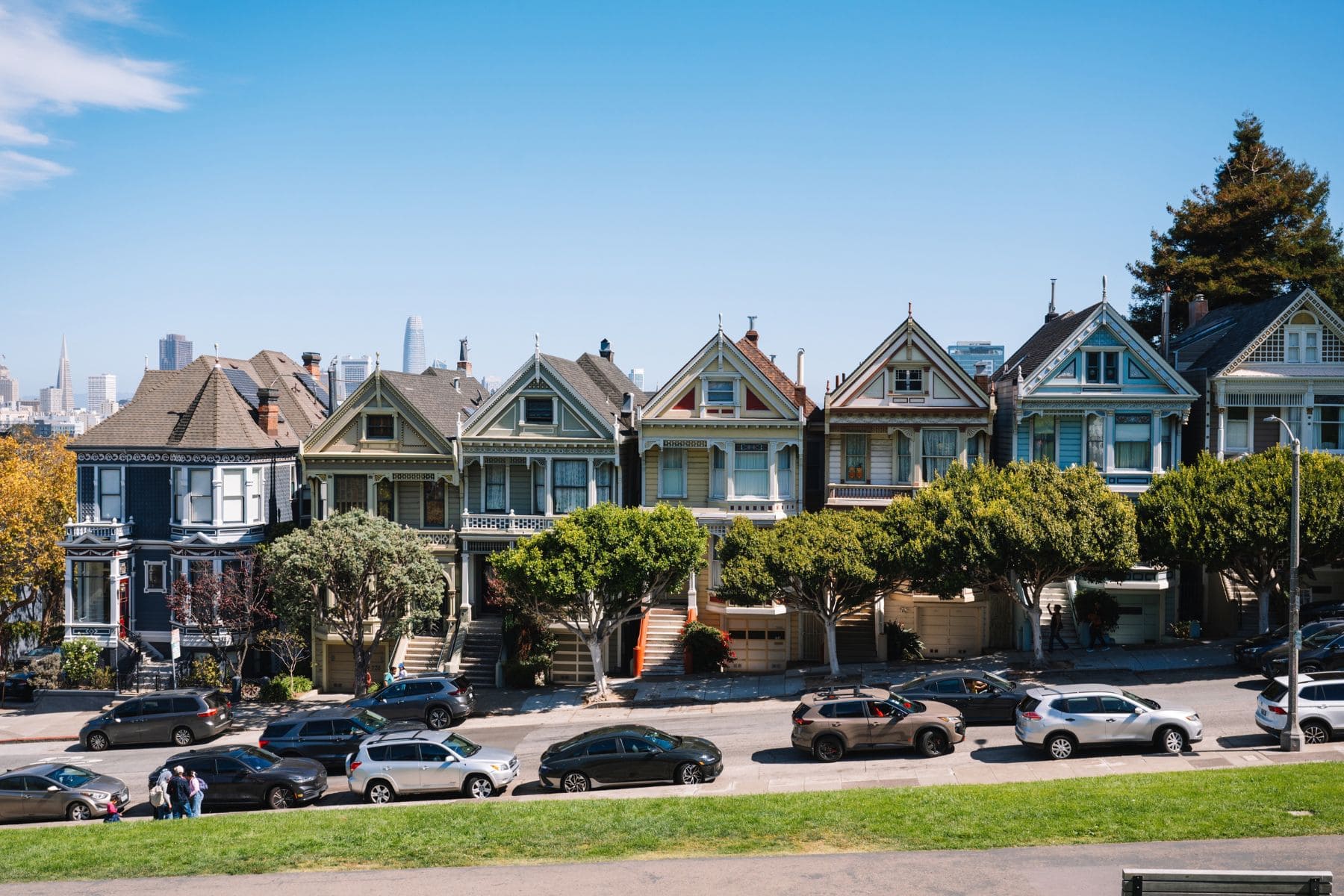 Painted Ladies