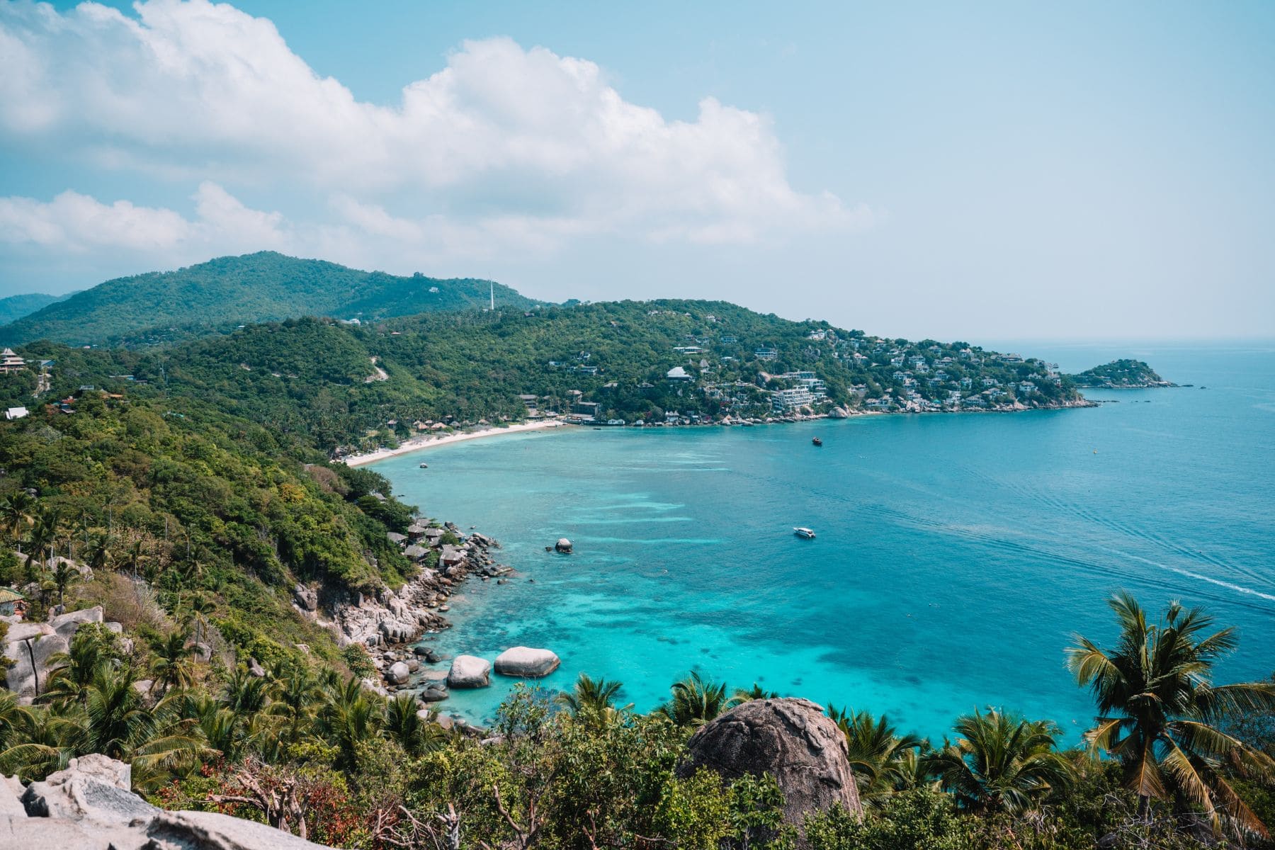que faire koh tao